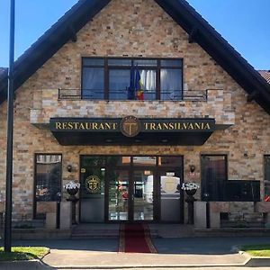 VILA Restaurant Transilvania